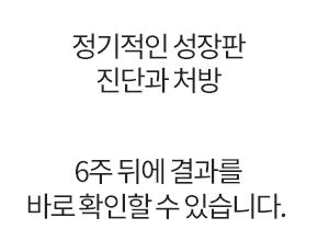 (6주마다 진단)